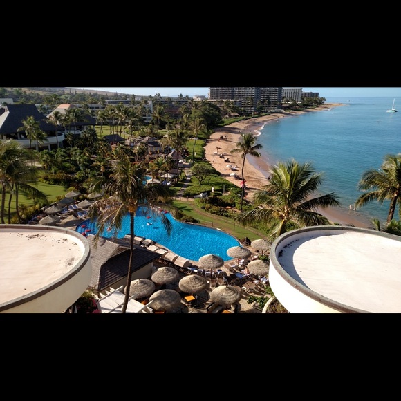 Meet your Posher, Posh - Picture 2 of 14